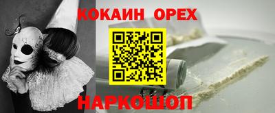 шишки Лесосибирск