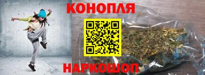 шишки Лесосибирск