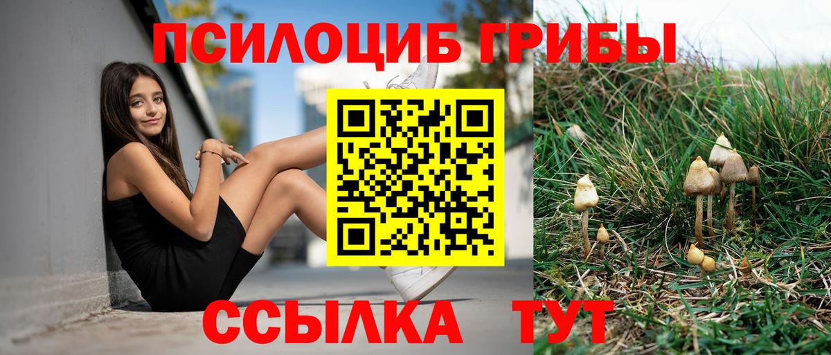 Псилоцибиновые грибы Magic Shrooms  Вход с VPN  Северск 